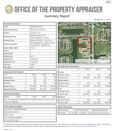 print summary report